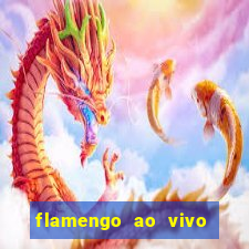 flamengo ao vivo multi canais